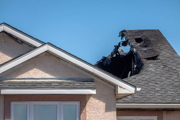 Licensed Content Restoration service in Kilkenny, MN - Fire Damage Biloxi